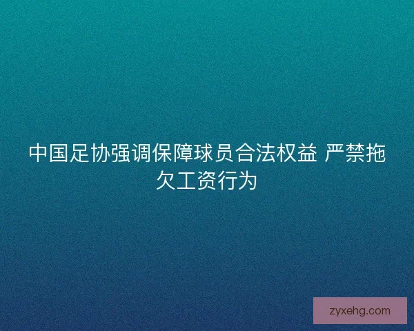 中国足协强调保障球员合法权益 严禁拖欠工资行为